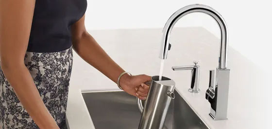 Moen Kitchen Sink Faucet in Chrome