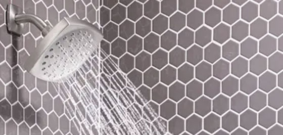 Moen Shower Head